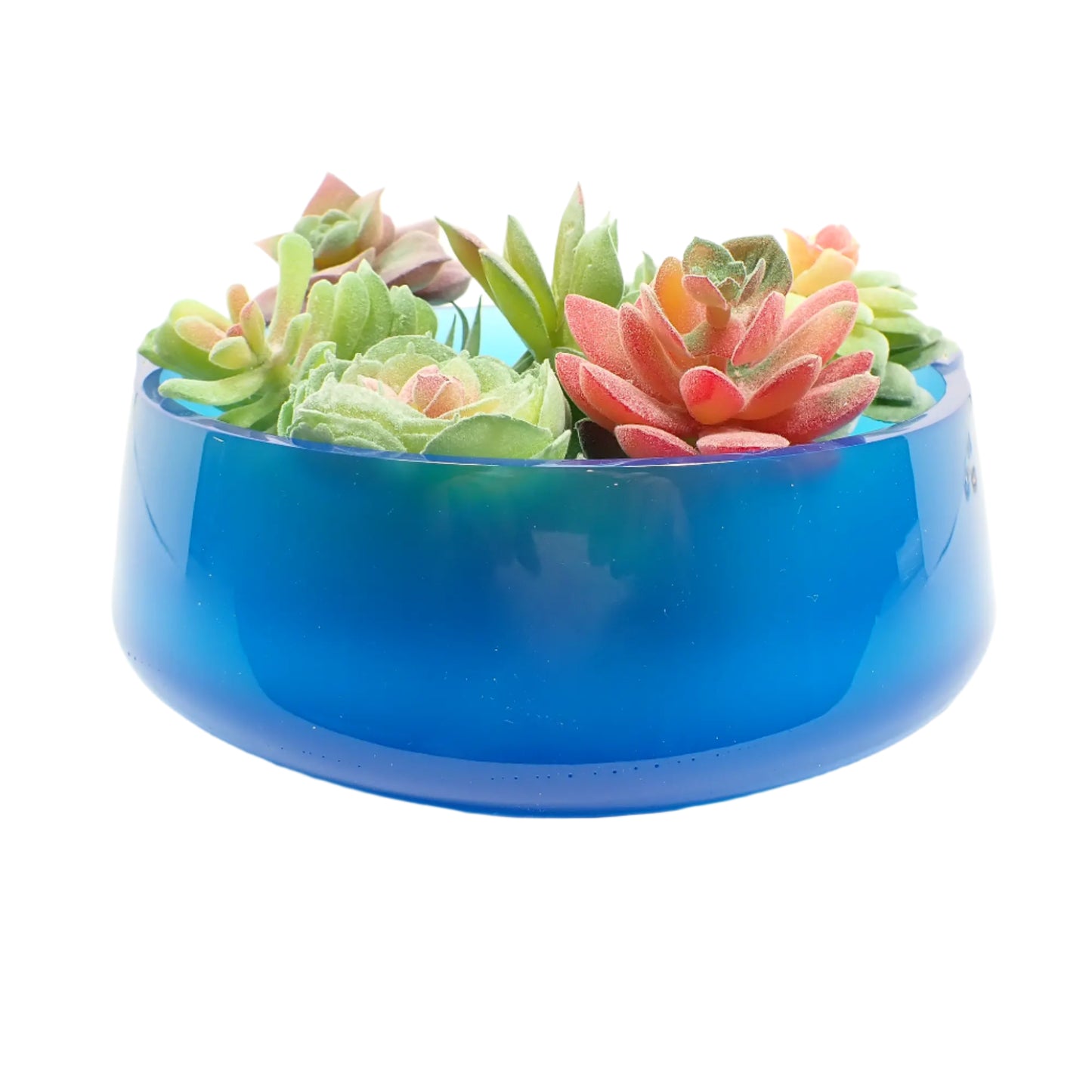 Image of the large handmade neon blue resin decorative bowl with several small fake succulent display plants in it to show how it would look as a planter pot.