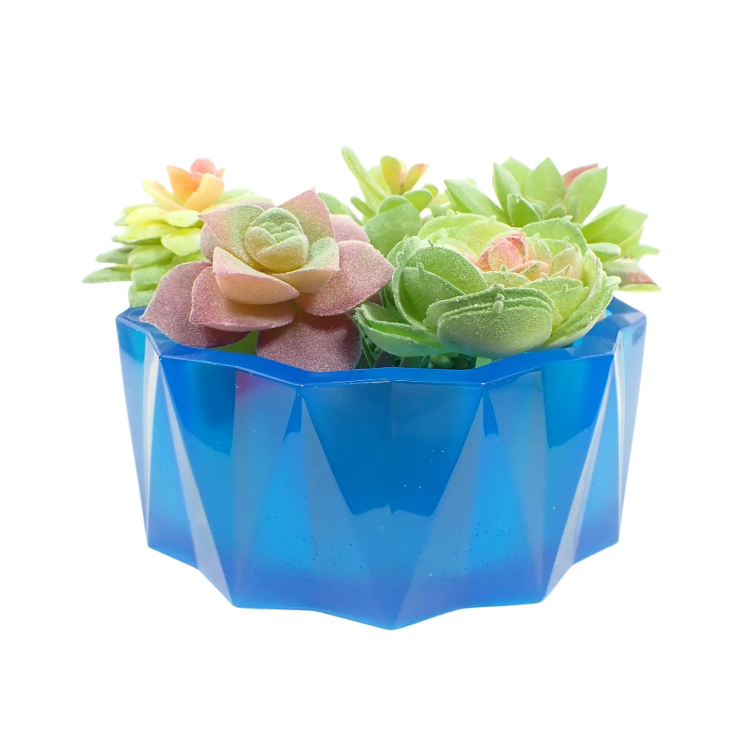 Image of the large handmade neon blue resin decorative bowl with some small fake succulent display plants in it to show how it would look as a planter pot.