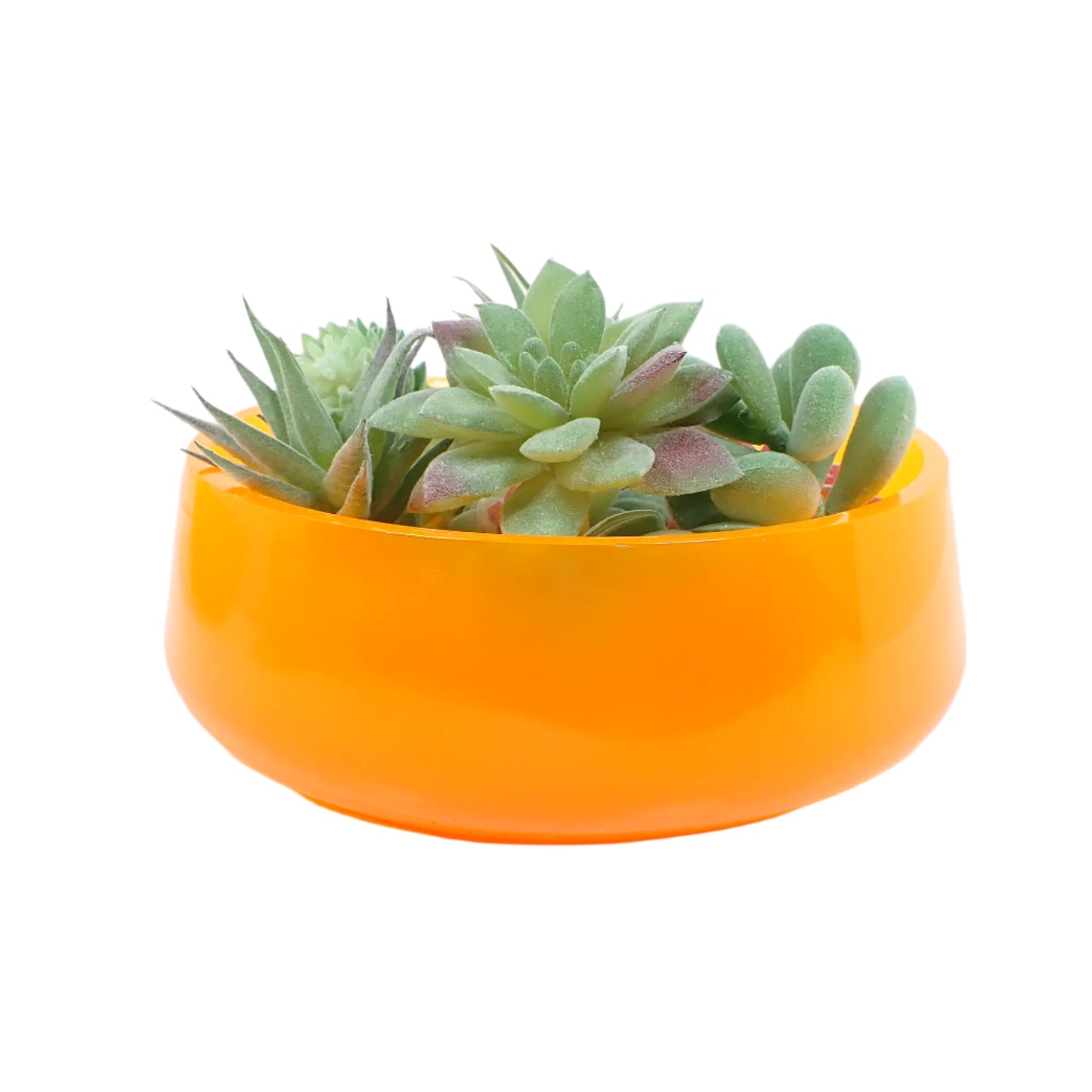 Side view of the handmade neon orange resin decorative bowl with fake succulents displayed in it to show how it would look as a succulent planter pot.