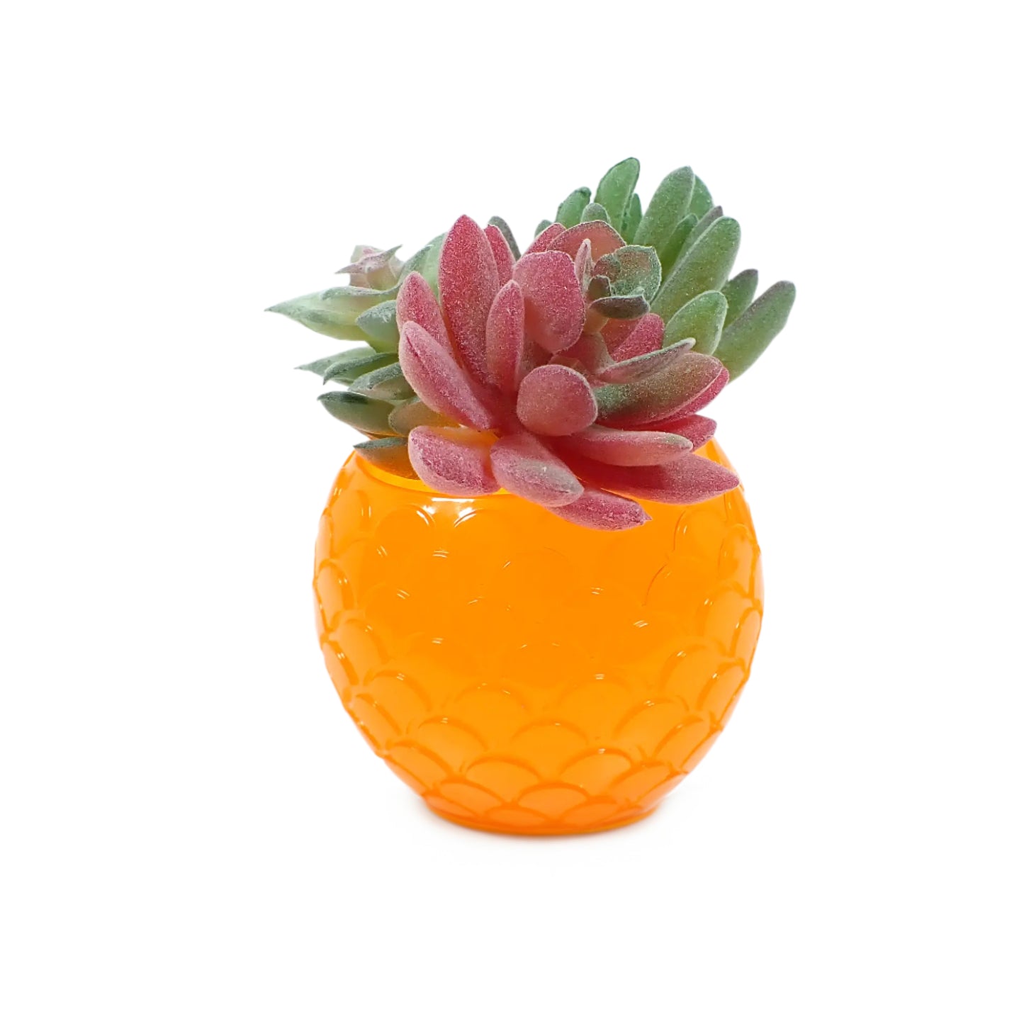 Image of the handmade neon orange resin decorative bowl with a few small fake succulents in it to show how it would look as a little planter pot.