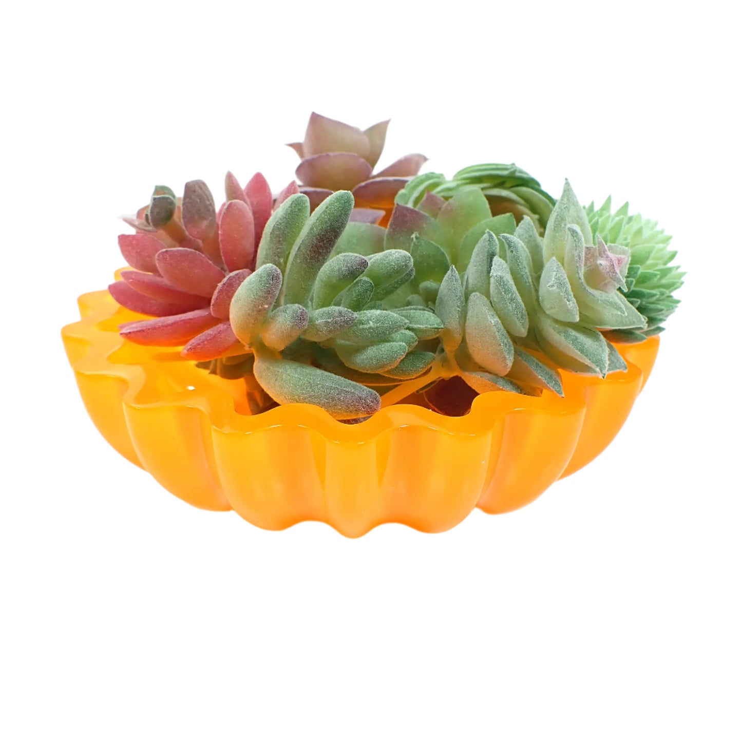 Image of the handmade neon orange resin scalloped bowl with several display fake succulents in it to show how it would look as a planter pot.
