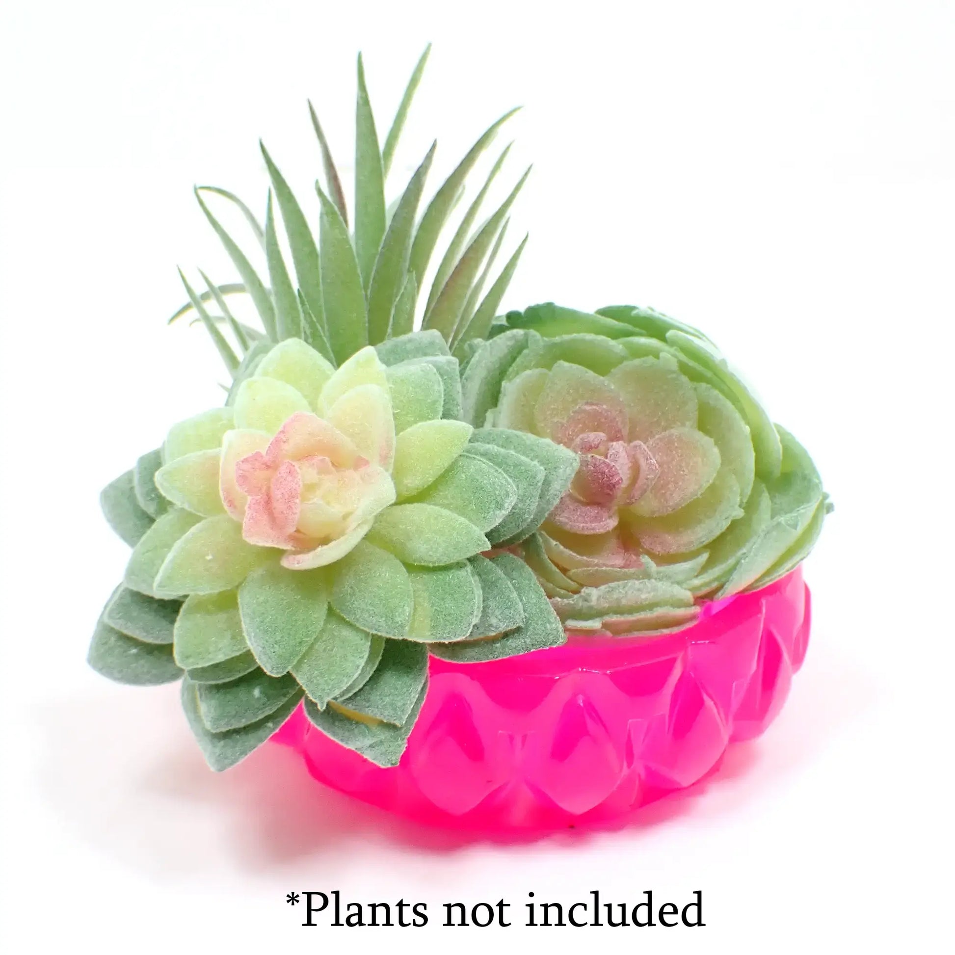 Side view of the small short round handmade resin succulent pot holding small fake plants. There is wording at the bottom "Plants not included."