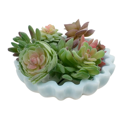 Photo showing how the bowl would look with small succulent plants in it.