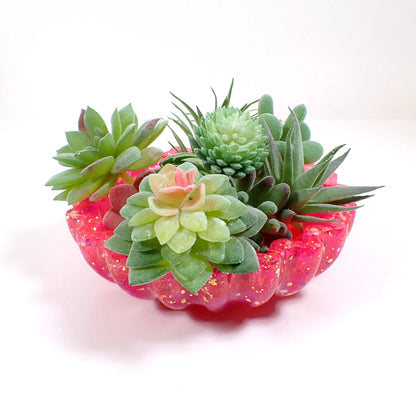 Photo showing how the bowl would look with small succulents in it.