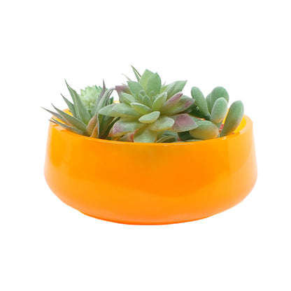 Side view of the handmade neon orange resin decorative bowl with fake succulents displayed in it to show how it would look as a succulent planter pot.