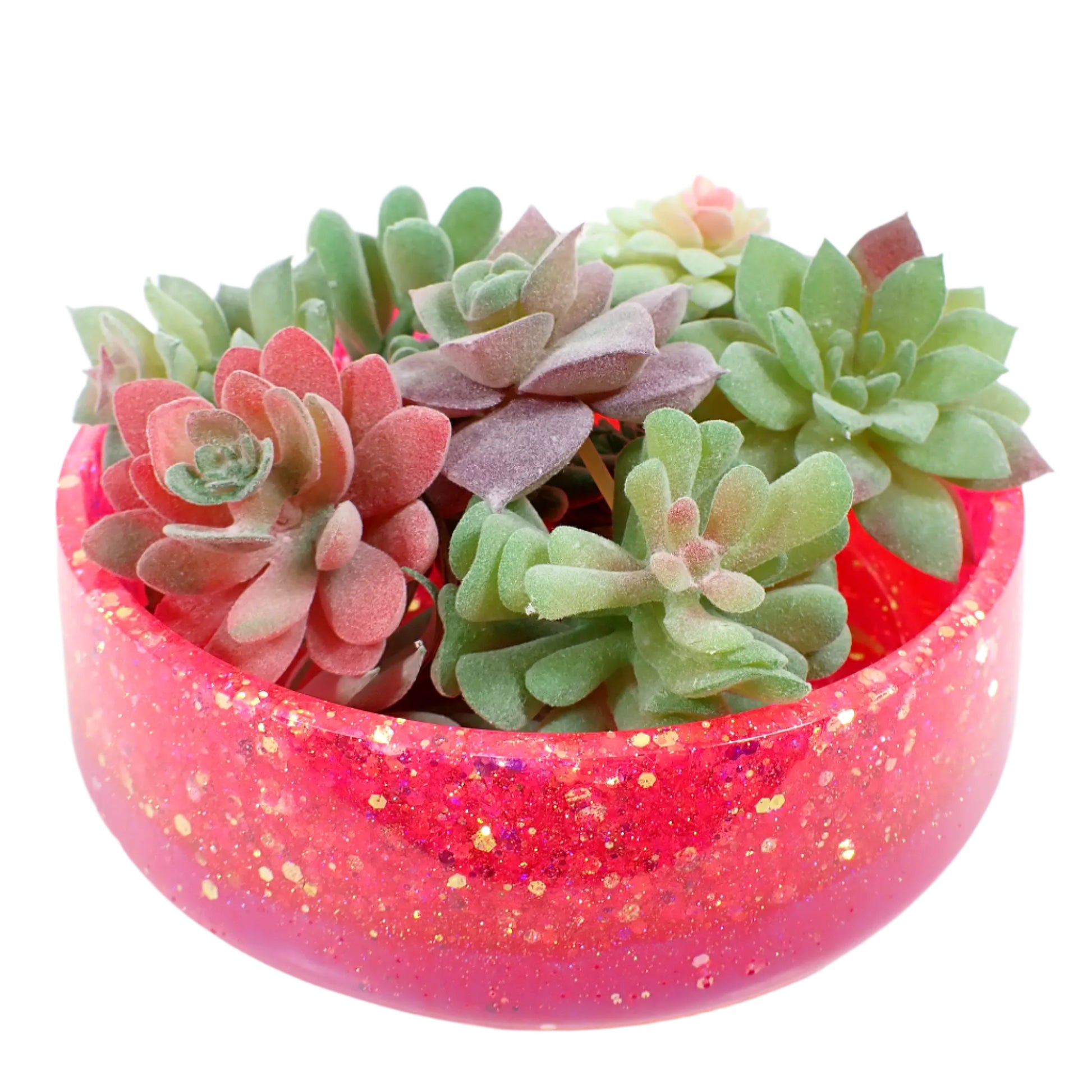 Photo showing how the large handmade resin bowl would look with small succulent plants in it.