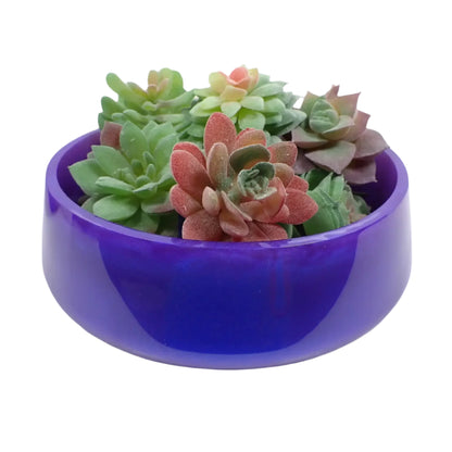 Side view of the handmade iridescent purple blue decorative bowl with some fake succulents in it to show how it would look as a succulent planter pot.