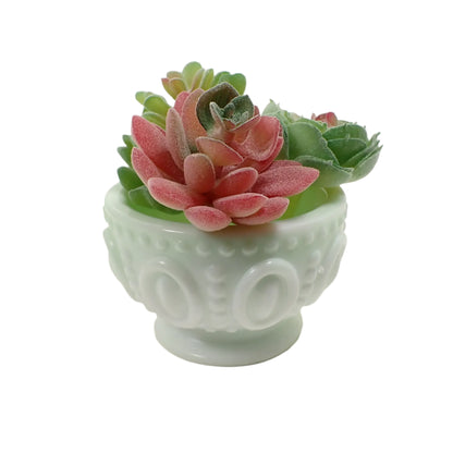 Photo showing how the handmade resin footed bowl would look with small succulent plants in it.