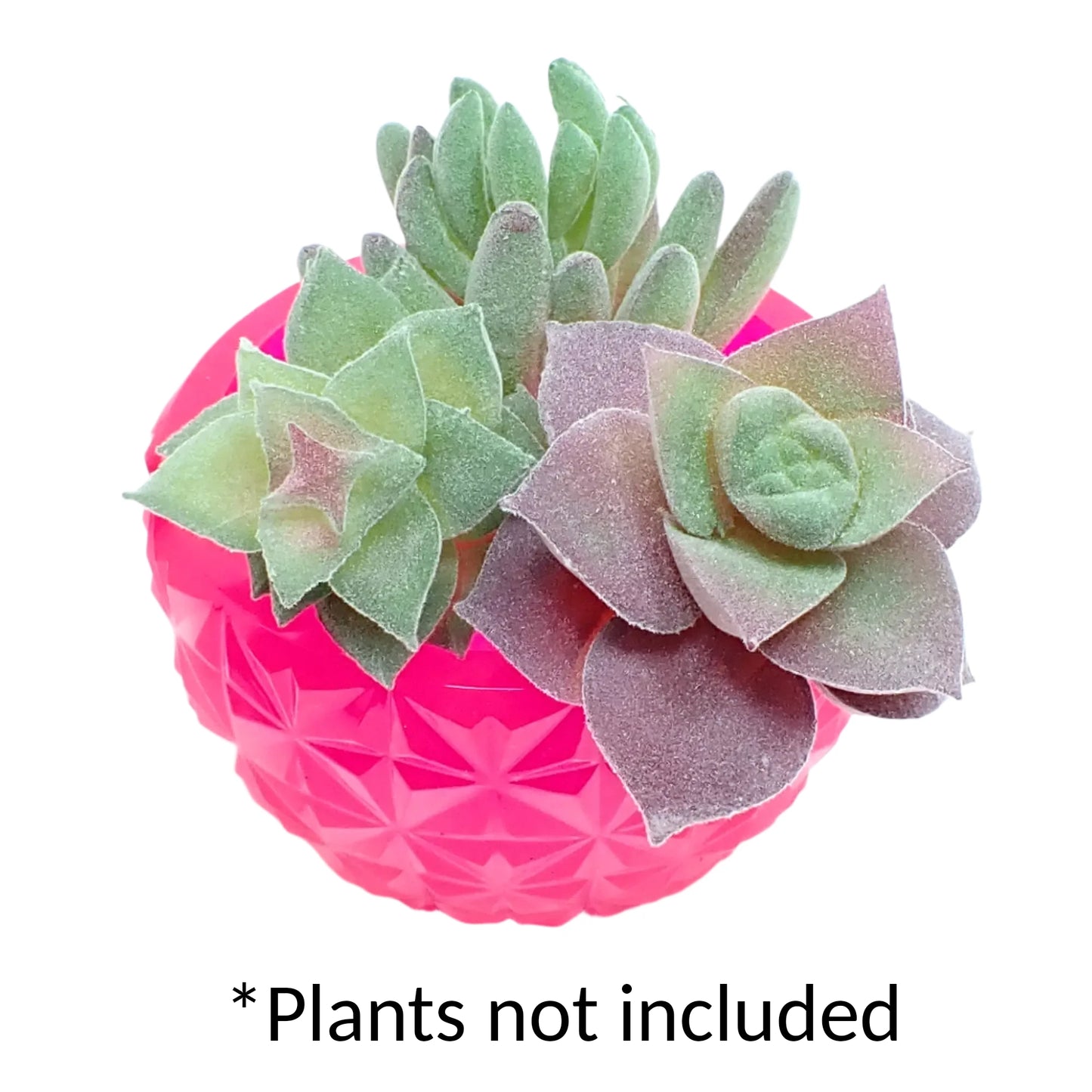 Photo showing the neon pink faceted resin bowl with fake succulent plants in it. There is wording at the bottom of the picture that says "Plants not included."