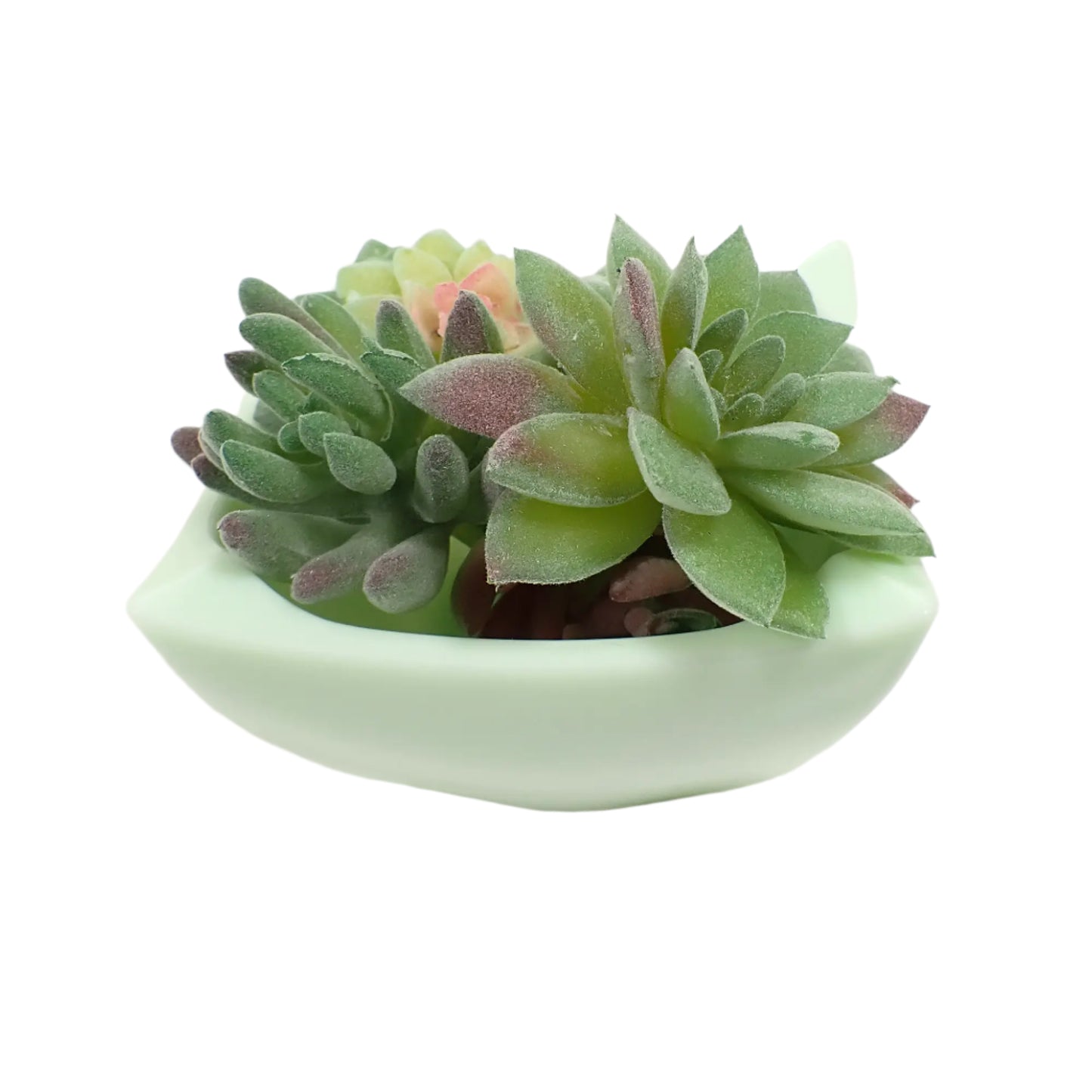 Photo showing how the handmade resin square bowl would look with succulents in it.