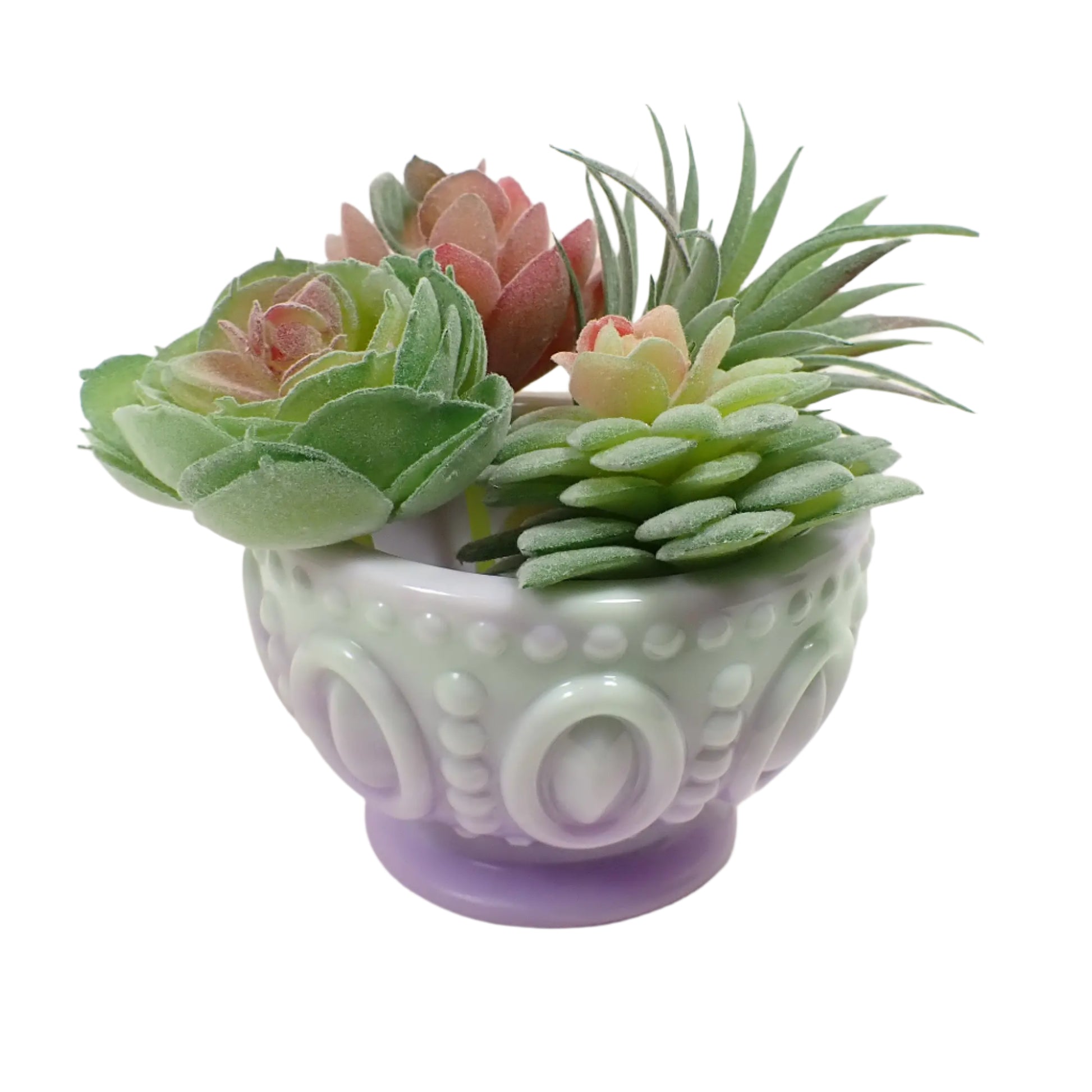 Photo of the handmade resin footed bowl showing how it would look with small succulent plants in it.