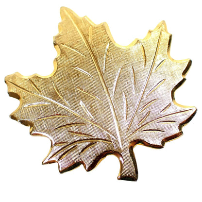 Enlarged front view of the retro vintage leaf pin. The metal is gold tone plated in color. The brooch is shaped like a maple leaf with textured matte metal design and etched leaf veins.