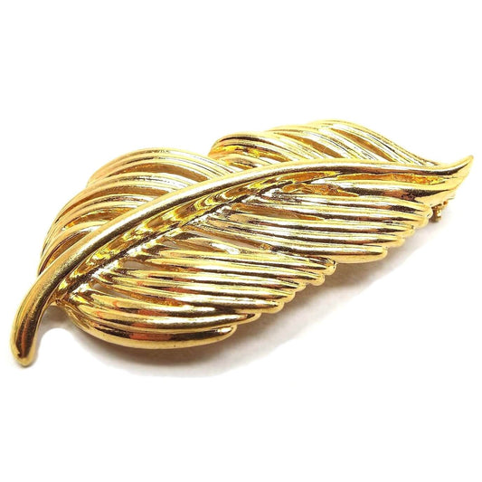 Front view of the retro vintage Napier brooch pin. The metal is gold tone in color. It has a filigree style leaf or feather like shape.