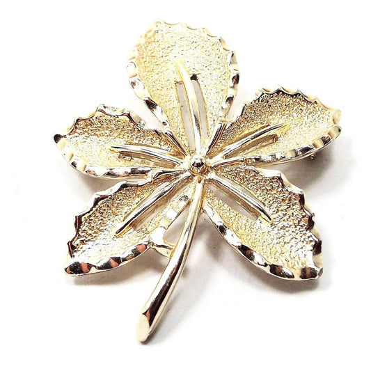 Front view of the Mid Century vintage brooch by Sarah Coventry, It is shaped like a five point leave with faceted edges on the leaf. The metal is textured and gold tone in color. 