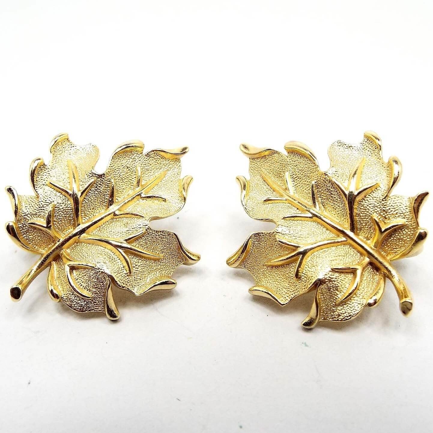 Front view of the retro vintage Crown Trifari leaf clip on earrings. The metal is gold tone in color. They are shaped like maple leaves with brushed matte textured metal on the leaves and shiny gold tone metal on the vein part and edges of the leaves. 